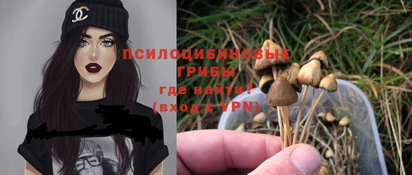 а пвп мука Арсеньев