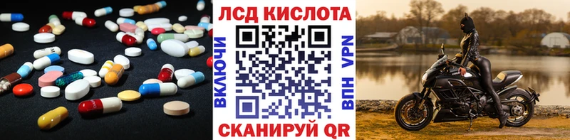 blacksprut как войти  Буйнакск  Лсд 25 экстази кислота 