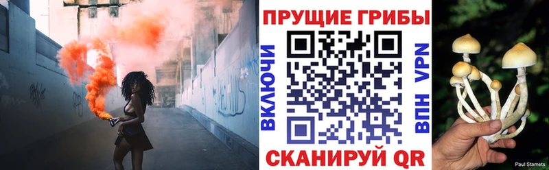 hydra   Буйнакск  Псилоцибиновые грибы Psilocybine cubensis  закладка 